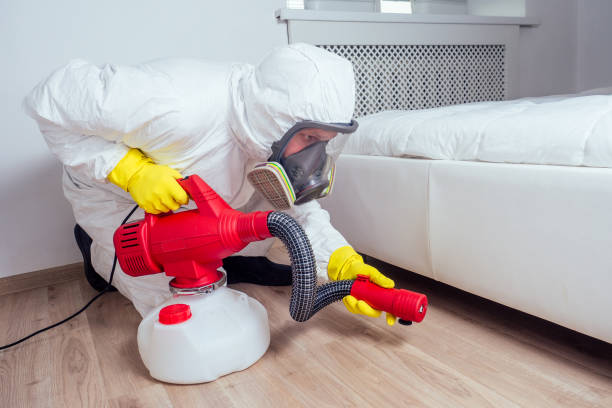 Best Rat Extermination Near Me  in Wellsburg, WV