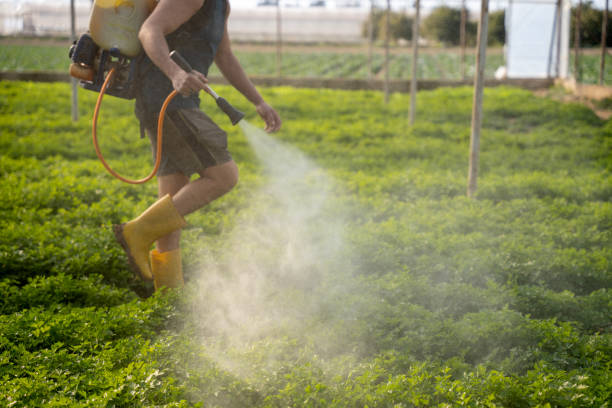 Best Commercial Pest Control Services  in Wellsburg, WV
