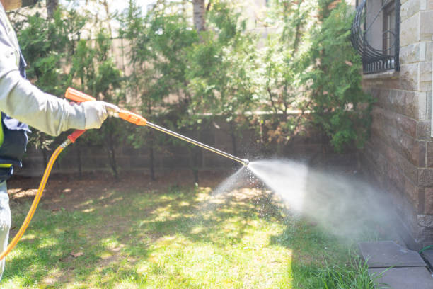 Best Best Pest Control Companies  in Wellsburg, WV
