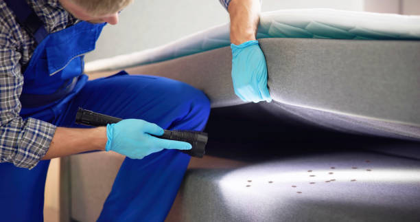 Best Residential Pest Control  in Wellsburg, WV