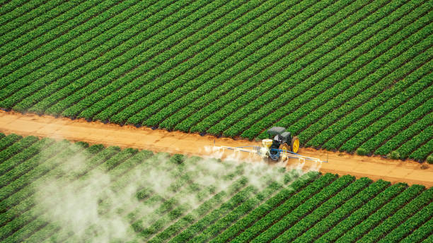 Professional Pest Control in Wellsburg, WV