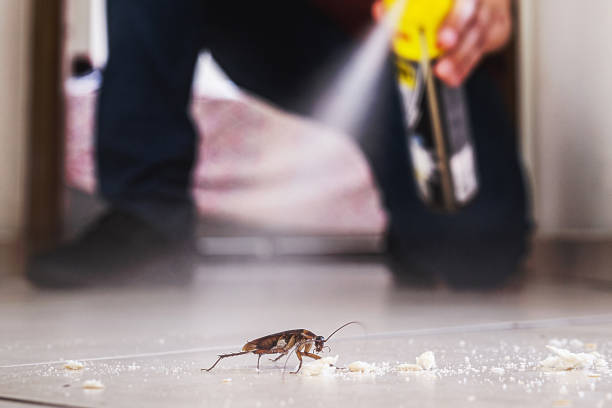 Best Emergency Pest Control  in Wellsburg, WV